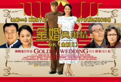 金婚风雨情电视剧全集,岁月如歌，相伴一生