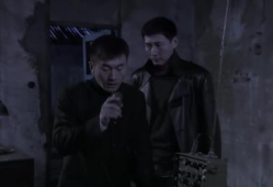 飞虎神鹰电视剧完整版,传奇特工的抗战风云