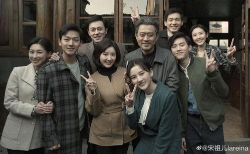 电视剧 家,家族荣耀与命运纠葛