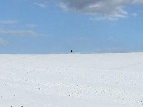 娱乐吃瓜洲,揭秘娱乐圈背后的那些事儿